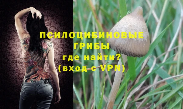 герыч Верхний Тагил