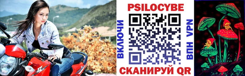 Галлюциногенные грибы ЛСД  Георгиевск 