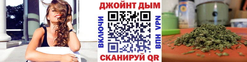 Конопля сатива  Георгиевск 